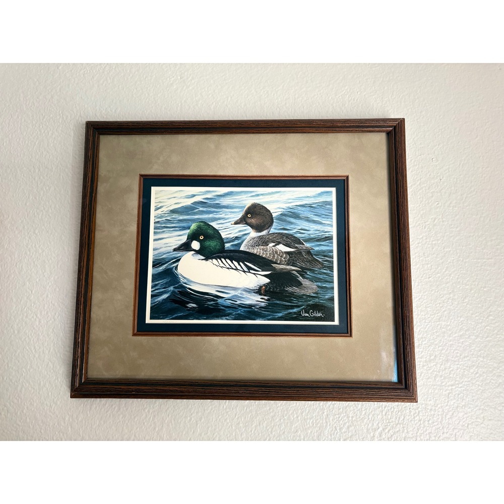 Ron Van Gilder Framed Duck Print Common Goldeneye Waterfowl Wildlife Art 15x12